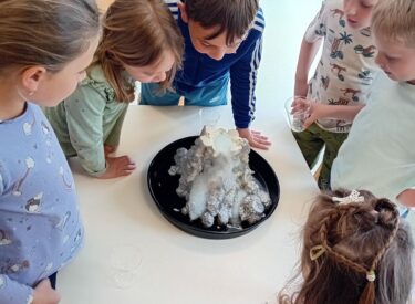 9470_67483_1000032991