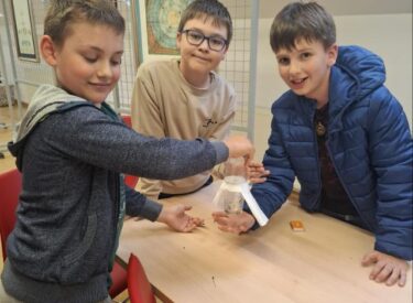 9470_67496_1000032996