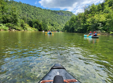 9578_68828_20250628121409