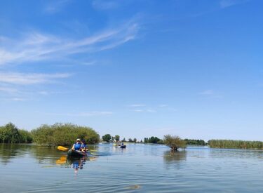 9610_69295_viberslika2025-07-2108-55-19-620