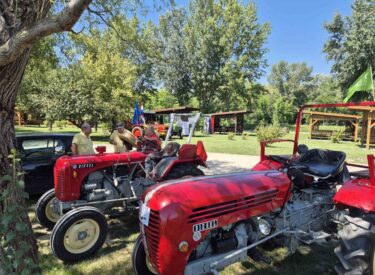 viber_slika_2025-08-09_15-16-45-881