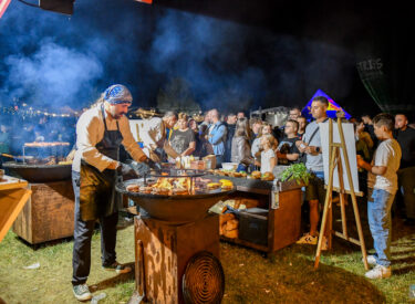 9680_70350_vipro4399