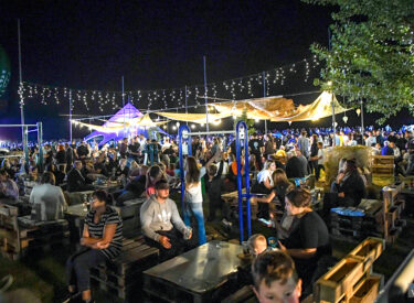 9680_70351_vipro4406