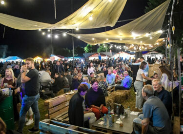 9680_70353_vipro4415