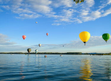 9682_70393_vipro4213