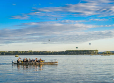 9682_70404_vipro4282