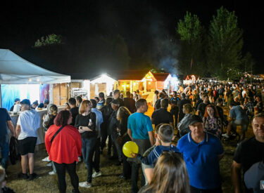 9682_70417_vipro4395