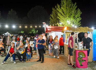 9682_70419_vipro4412