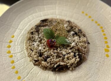 9782_71383_img-717547f9b9537a5e5945c4465d252b8f-v