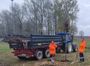 9882_72277_viberslika2025-12-0218-42-20-279