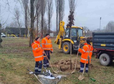 9882_72278_viberslika2025-12-0218-42-20-299