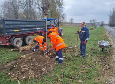 9882_72279_viberslika2025-12-0218-42-20-343