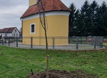 9882_72280_viberslika2025-12-0218-42-20-399