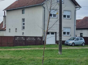 9882_72281_viberslika2025-12-0218-42-20-425