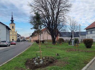 9882_72283_viberslika2025-12-0218-42-20-475