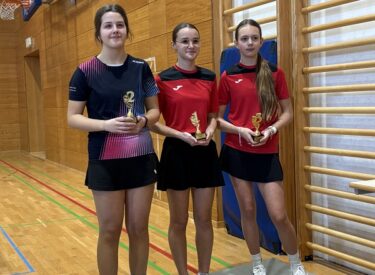 9980_73393_stolni-tenis-prvenstvo-meimurja-2026-7