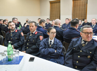 10010_73578_vipro025