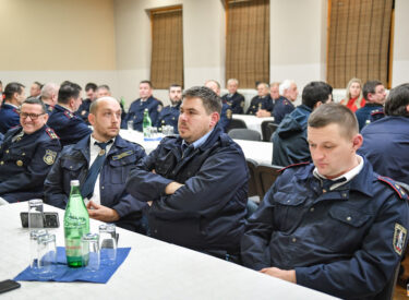 10010_73582_vipro032