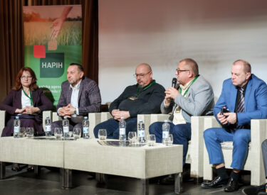 10067_74132_vipro069