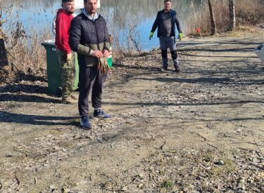 10075_74233_20260228104849