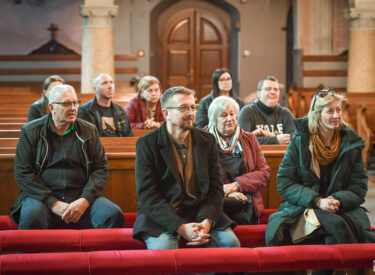 10080_74284_vipro002