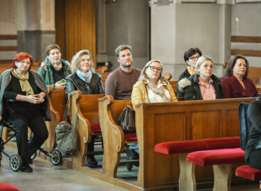 10080_74286_vipro004