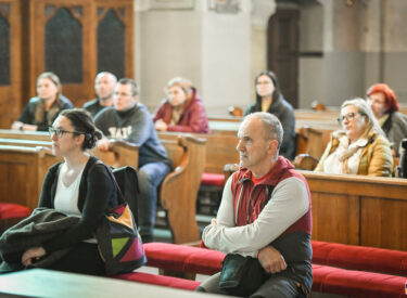 10080_74287_vipro006