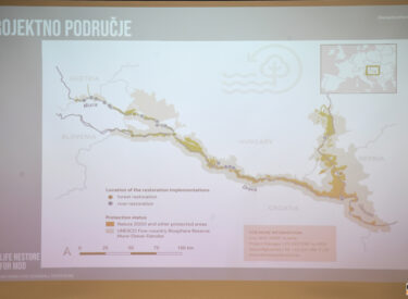 10082_74305_vipro004