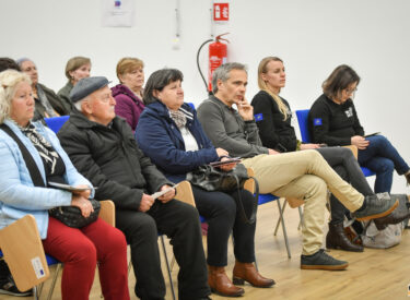 10082_74308_vipro010