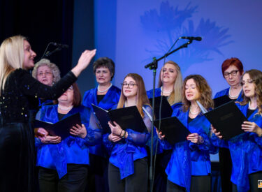 10094_74409_vipro013