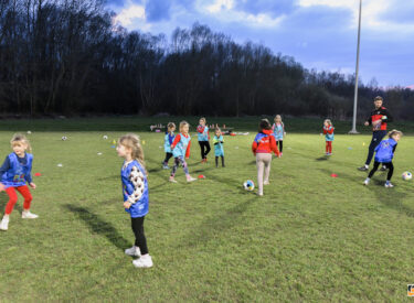 10101_74490_vipro001