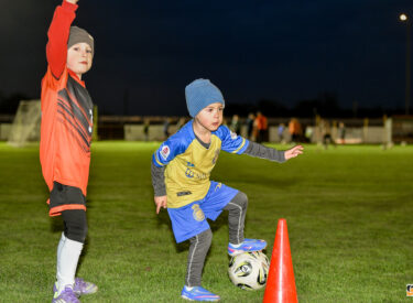 10101_74498_vipro012