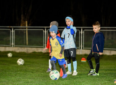 10101_74499_vipro014