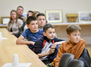 10106_74580_vipro017