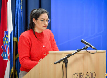 10137_74849_vipro013