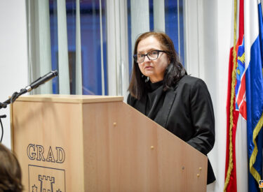 10137_74852_vipro018