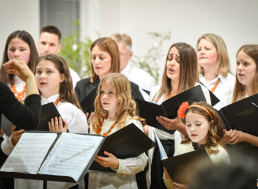 10143_74905_vipro035