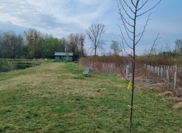 10148_74946_viberslika2026-03-3022-18-41-697