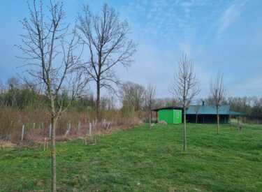 10148_74947_viberslika2026-03-3022-18-41-685