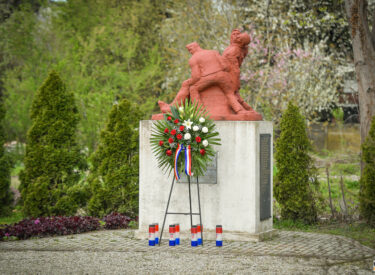 10161_75058_vipro026