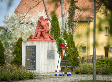 10161_75059_vipro028