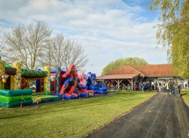 10175_75233_vipro003