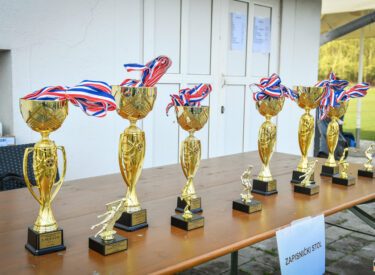 10175_75237_vipro010