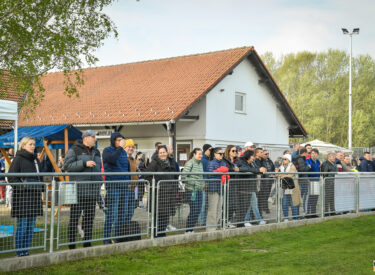 10175_75249_vipro037