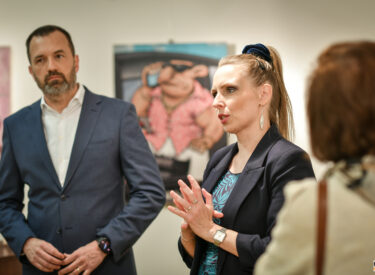 10177_75272_vipro040