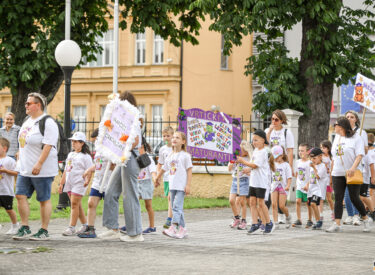 10321_76824_vipro034