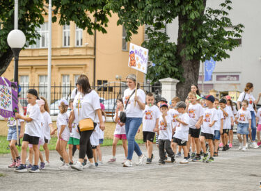 10321_76825_vipro035