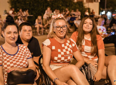 10346_77259_vipro005