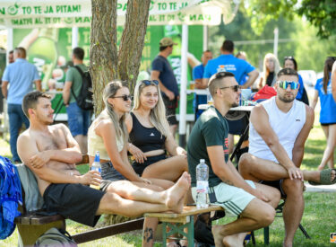 10361_77439_vipro313