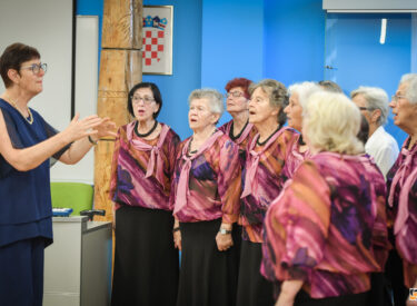 10403_77819_vipro003